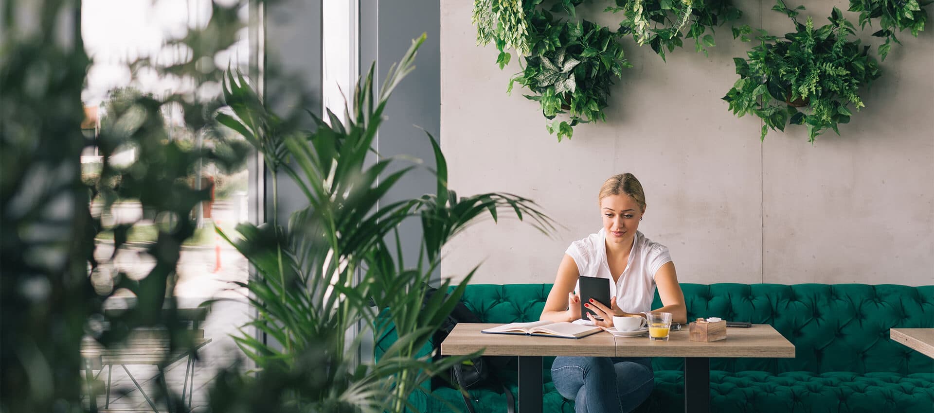 The 13 Steps to Achieving a Premium Price for your Home