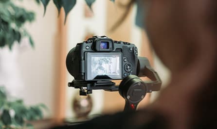 Professional Photography